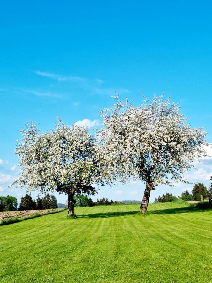 Ferienhaus Ritzmais Bischofsmais Kültér fotó