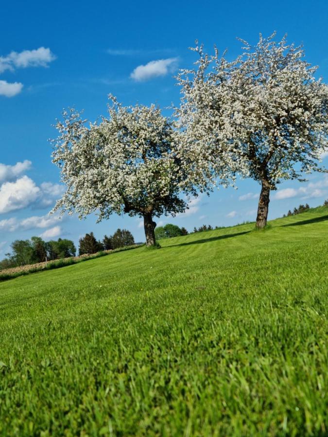 Ferienhaus Ritzmais Bischofsmais Kültér fotó