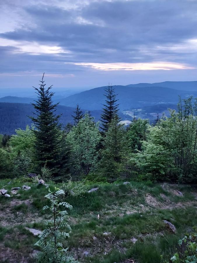 Ferienhaus Ritzmais Bischofsmais Kültér fotó